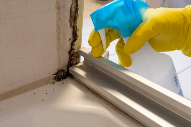 Best Health and Safety Mold Remediation in Mcdonough, GA