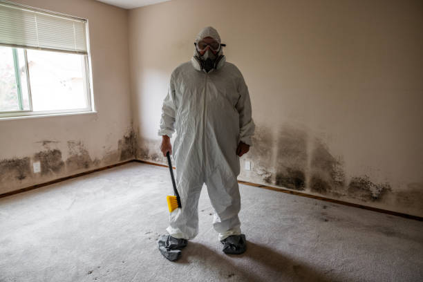 Best Emergency Mold Remediation in Mcdonough, GA